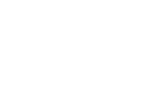 DATEV_SmartExpert_Label_RGB_weiss.png